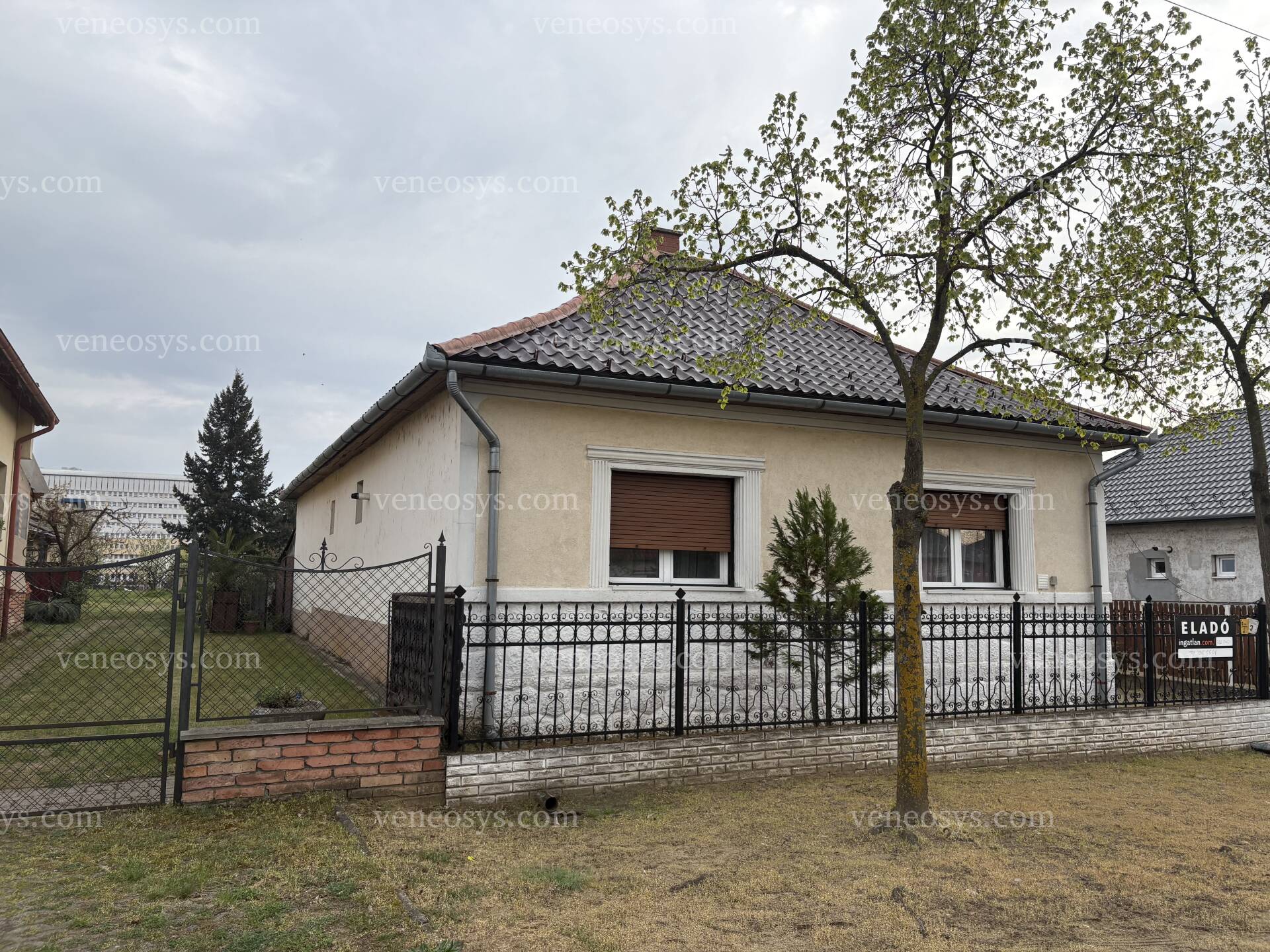 Kép 3