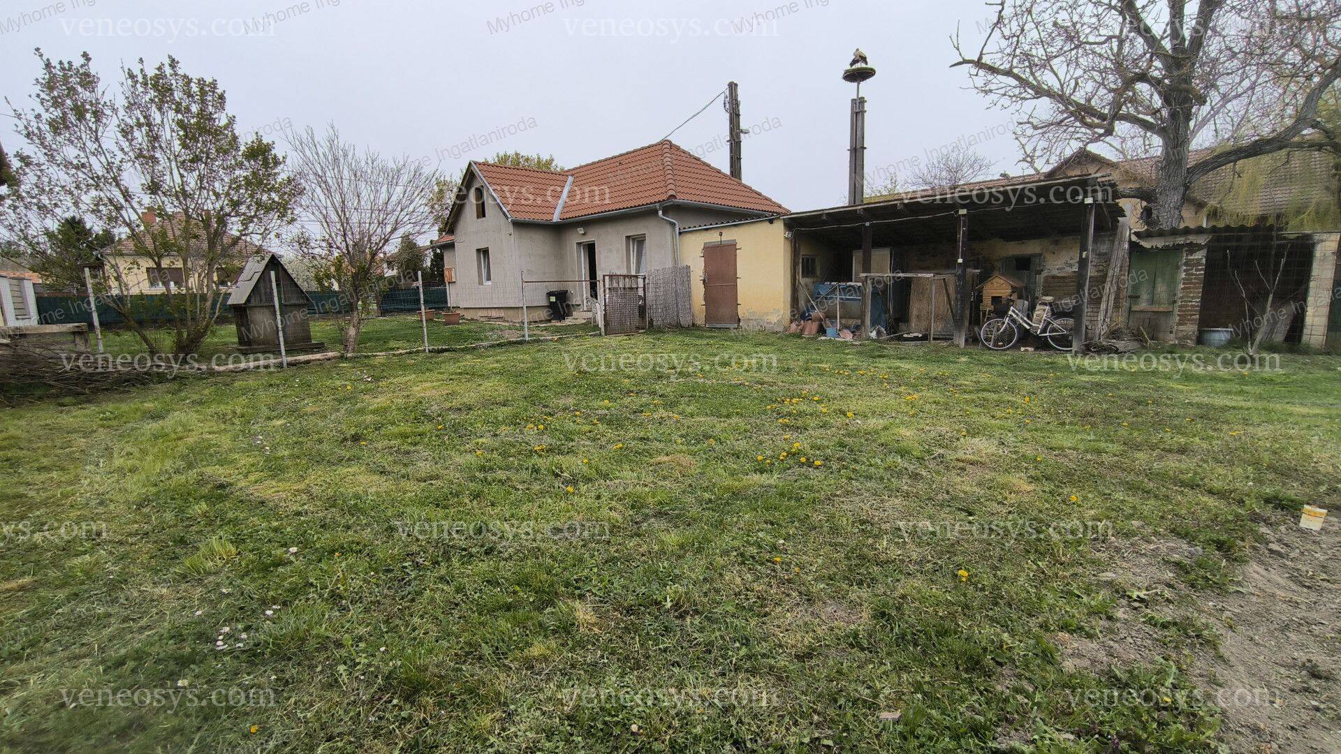 Kép 7