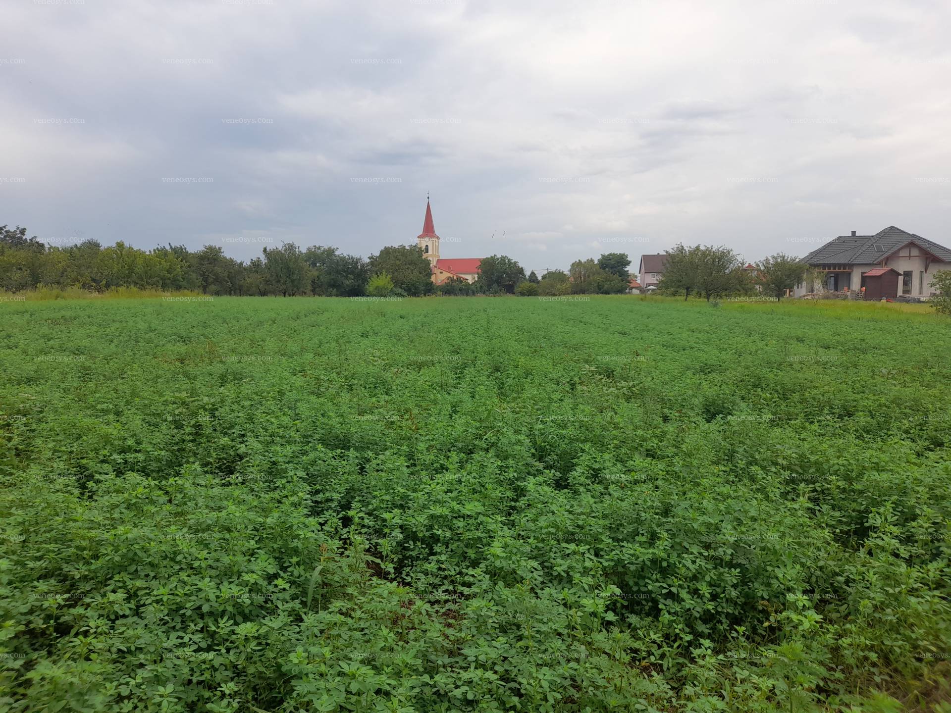 Kép 4