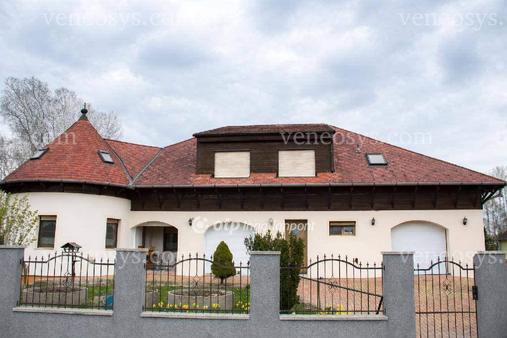 Kép 4