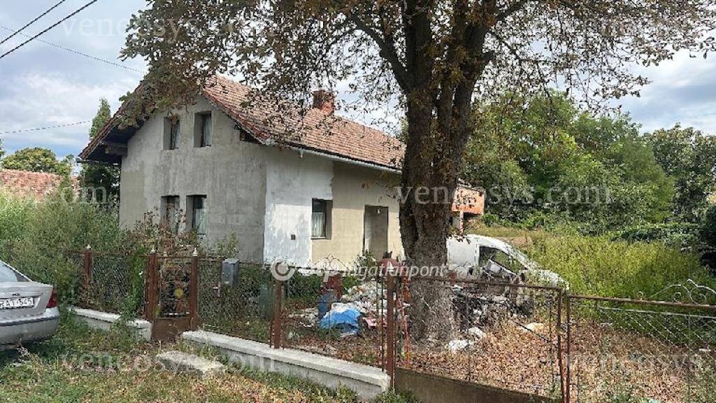 Kép 4