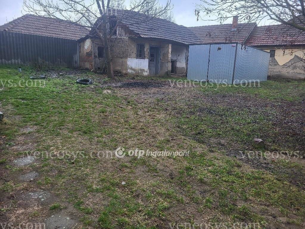 Kép 15