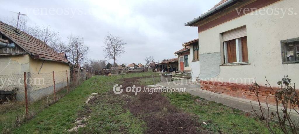 Kép 15