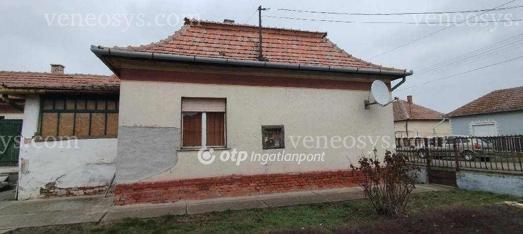 Kép 12