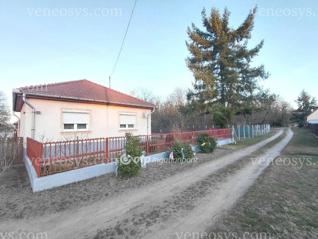 Kép 4
