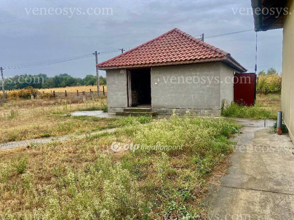 Kép 8