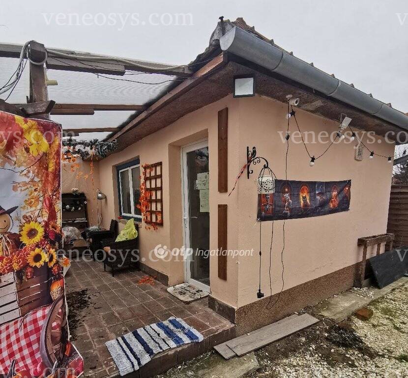 Kép 17