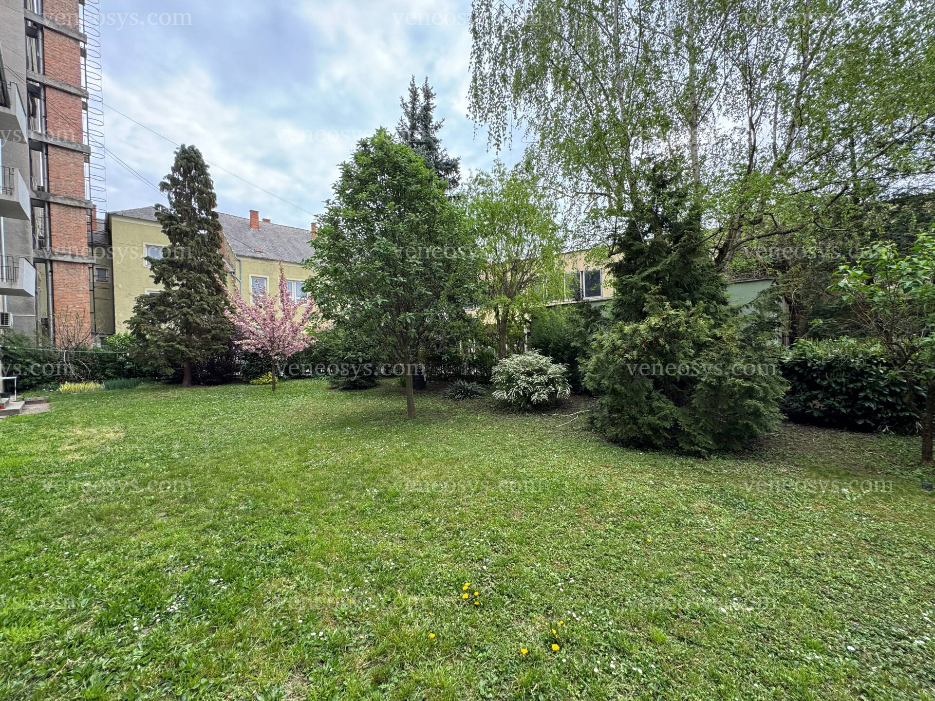 Kép 12