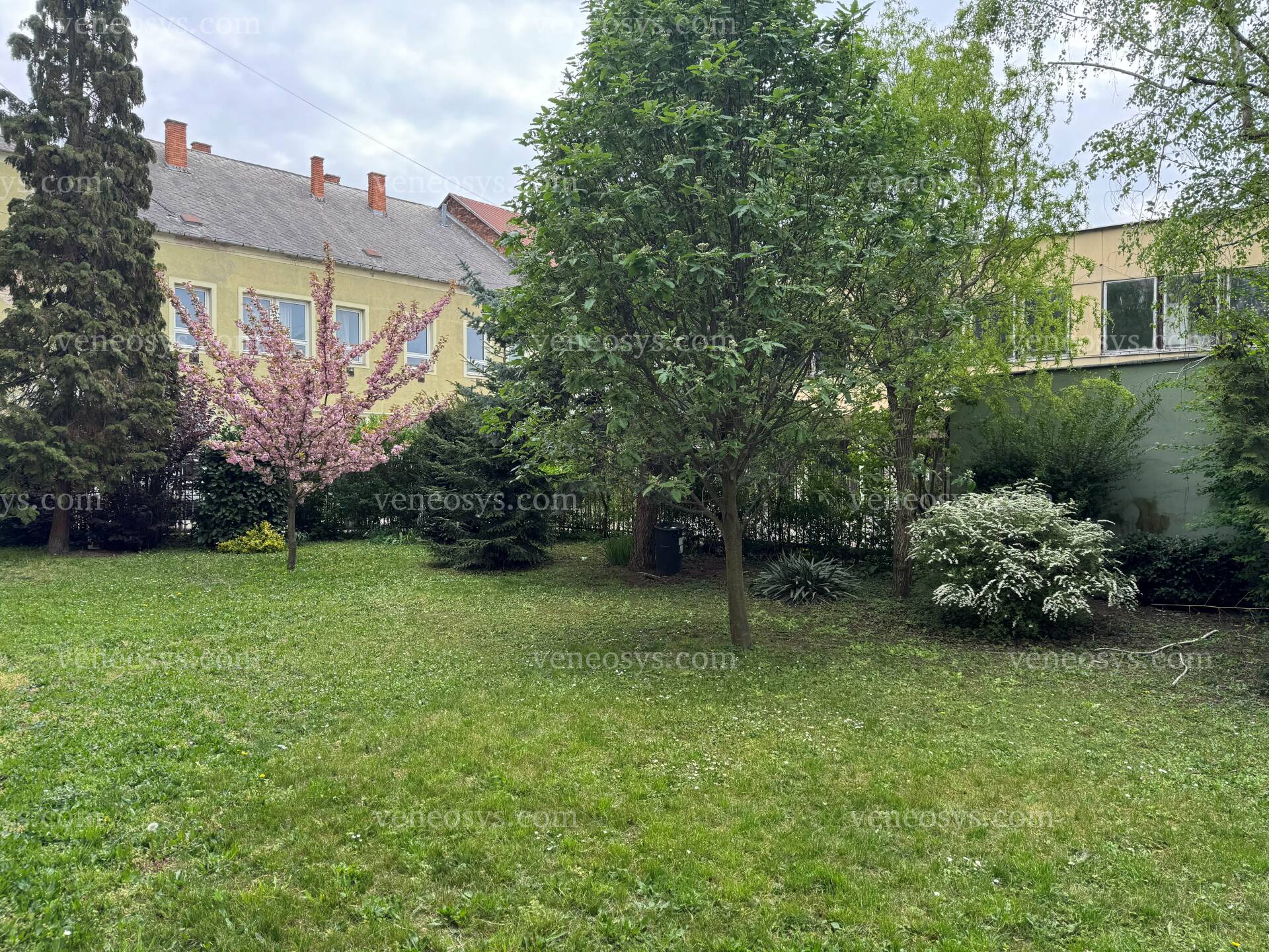 Kép 13