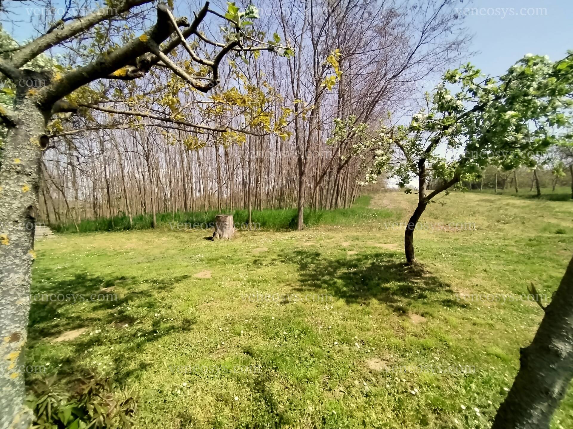 Kép 8