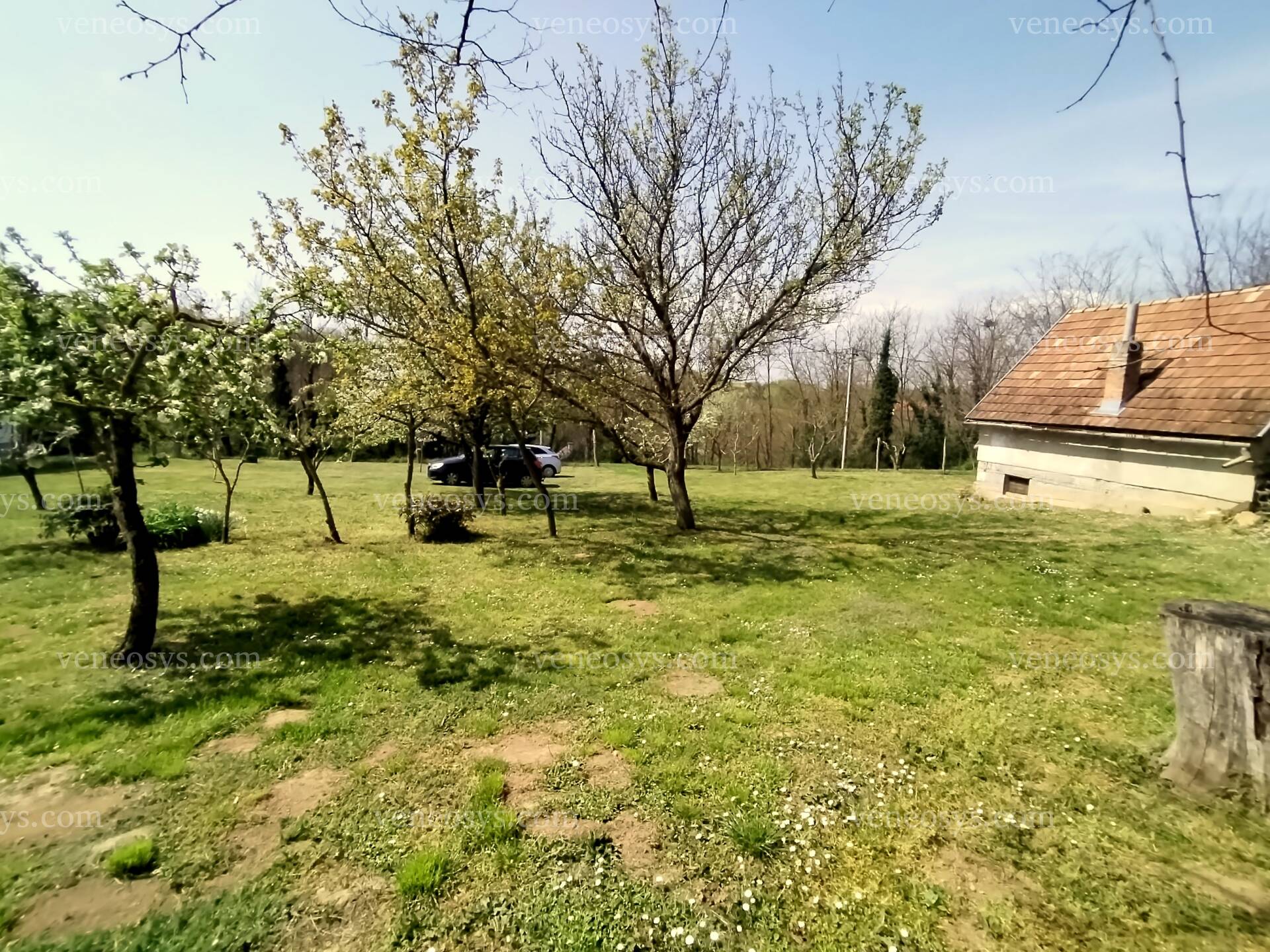 Kép 12