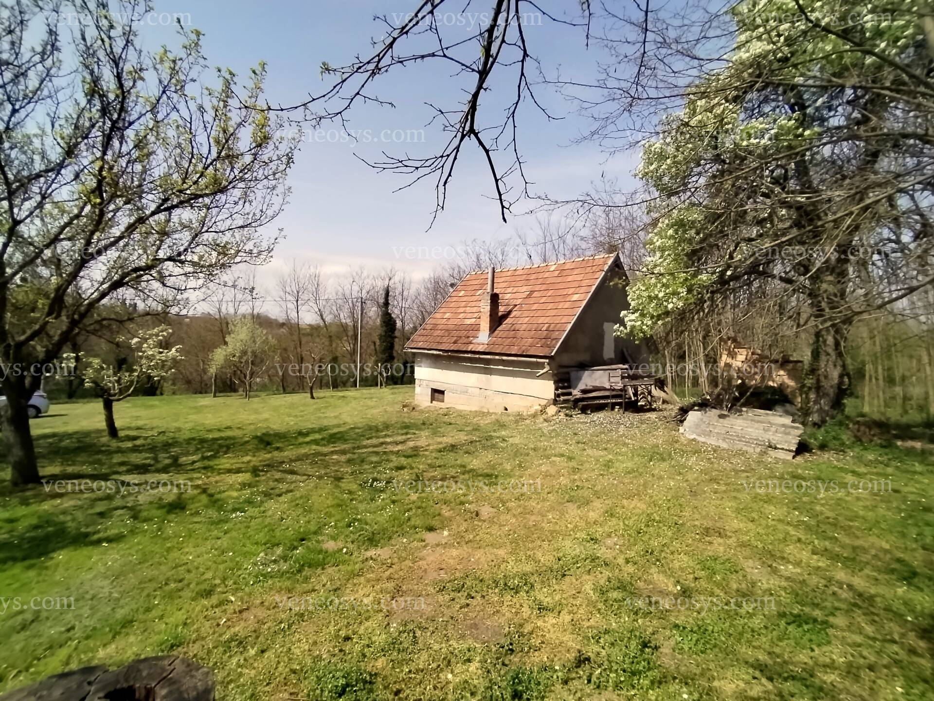 Kép 11