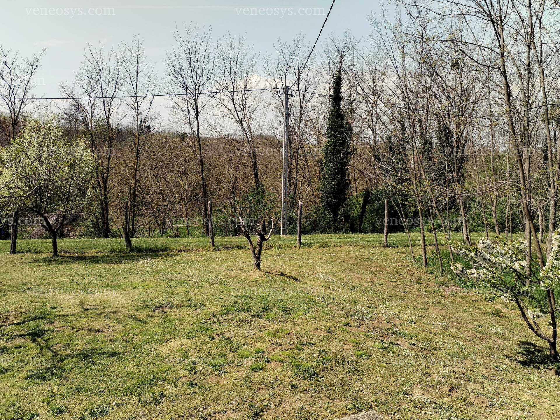 Kép 10