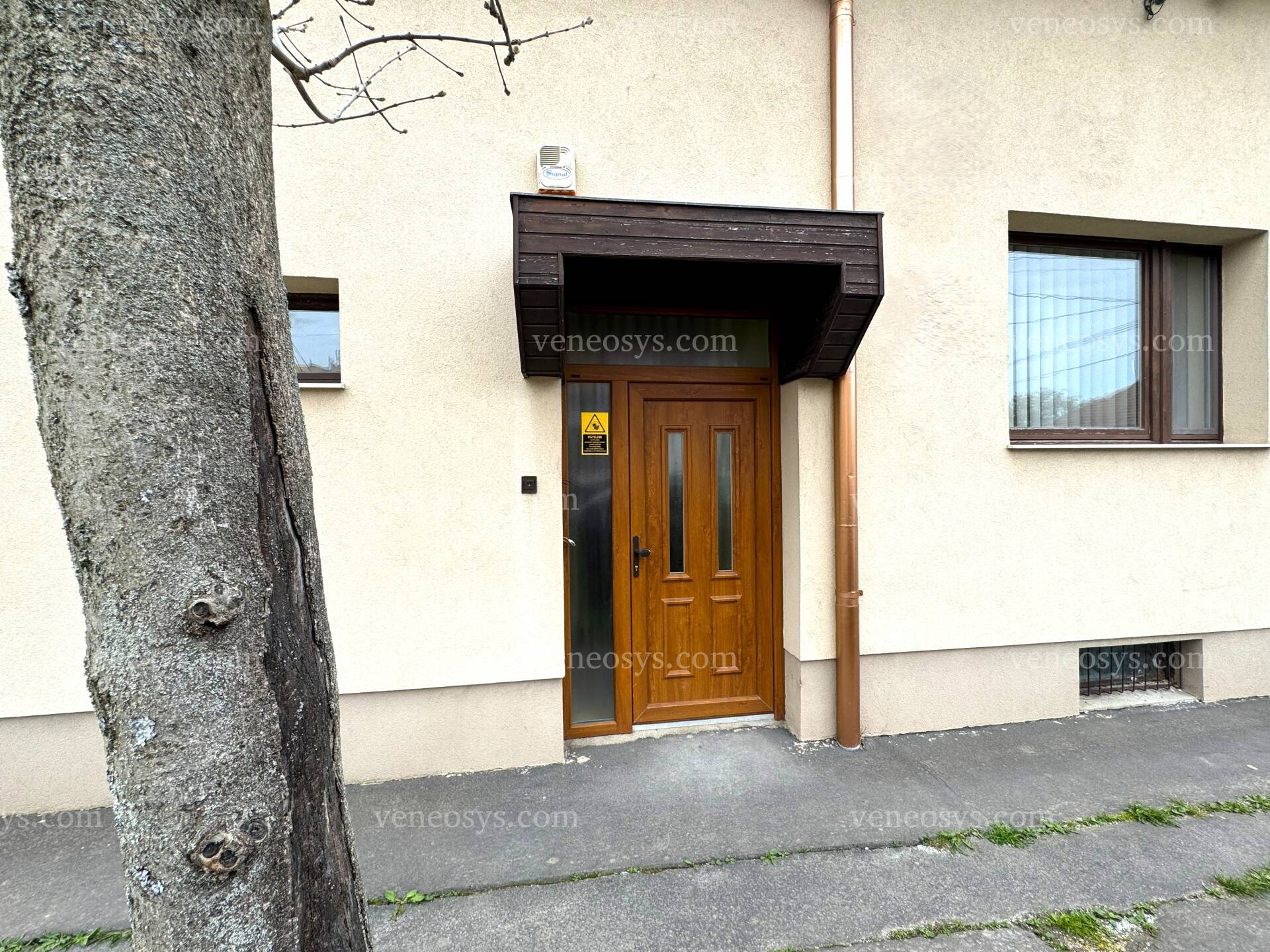 Kép 5