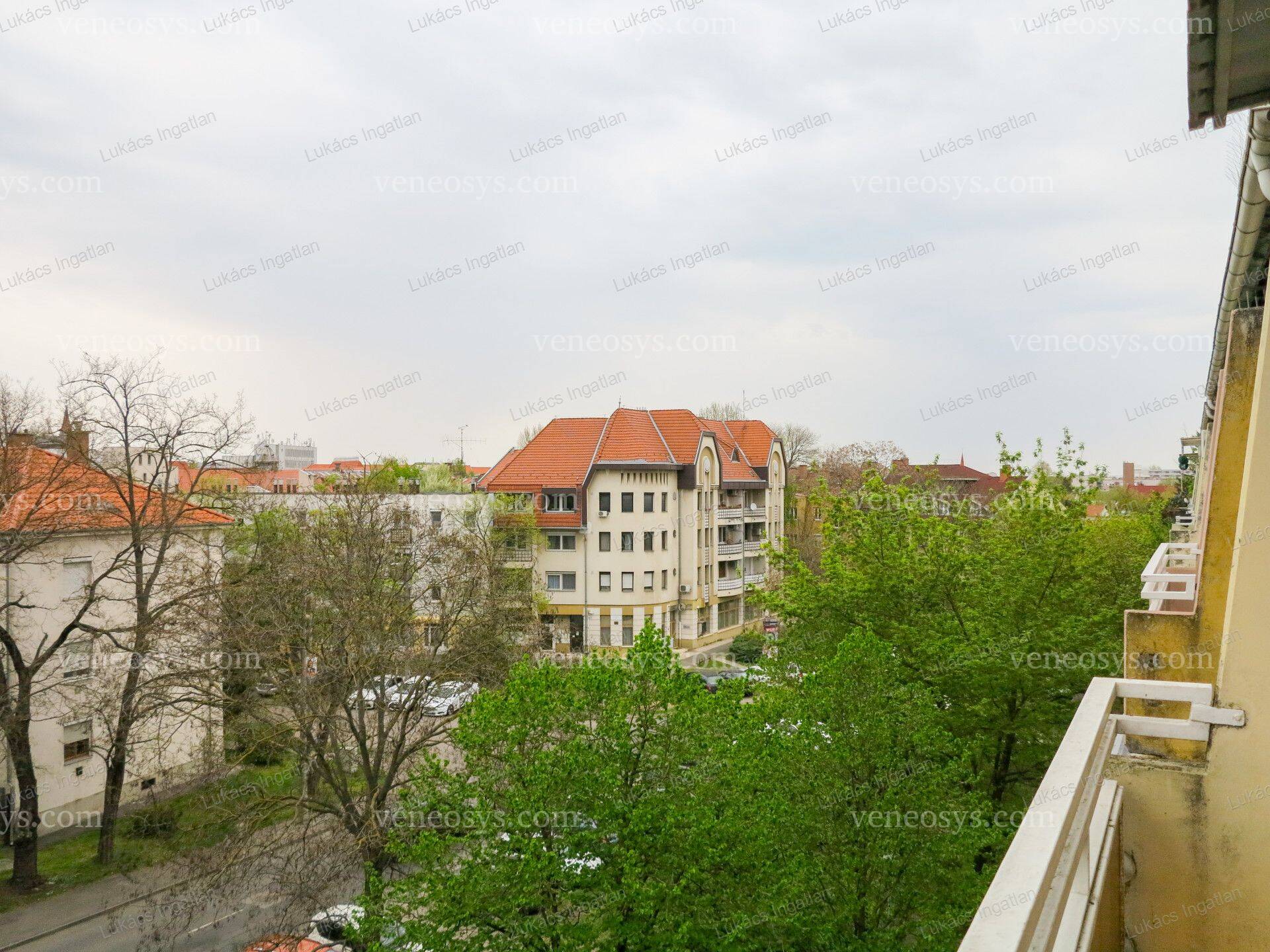 Kép 13