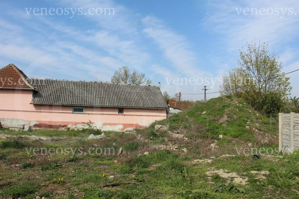 Kép 4