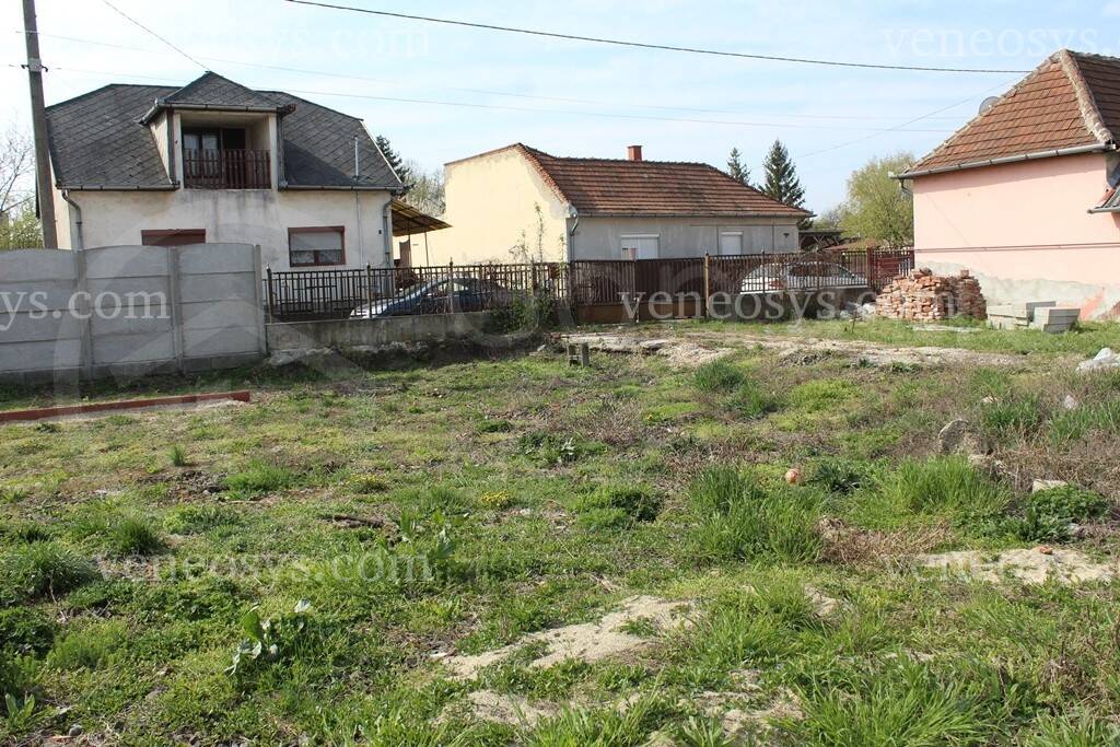 Kép 6