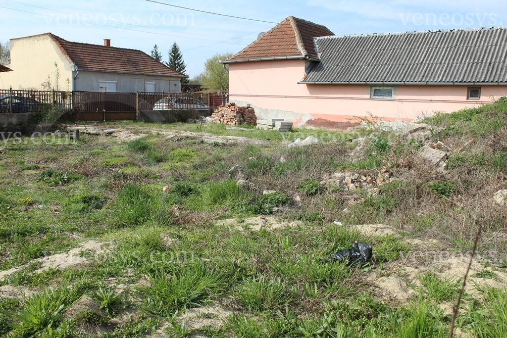 Kép 7