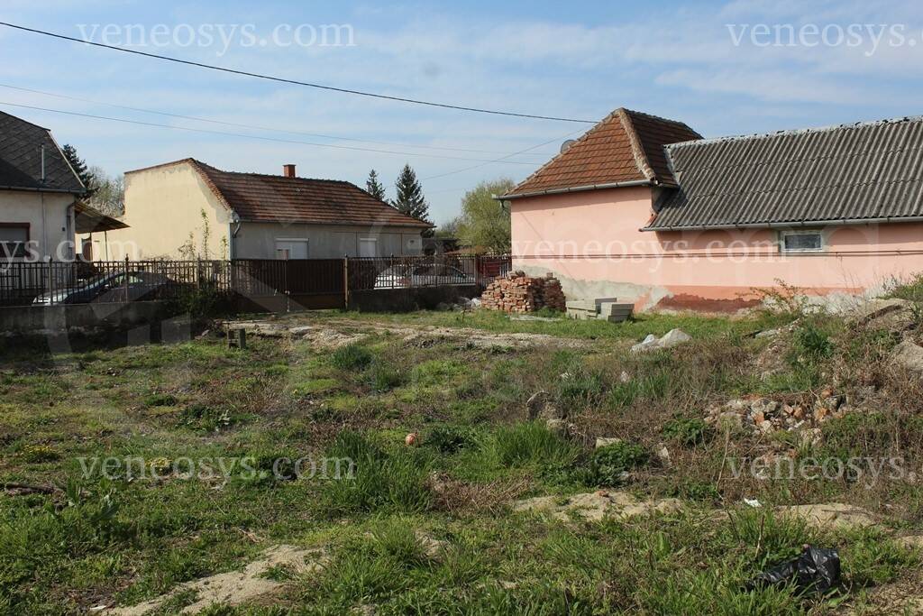 Kép 5