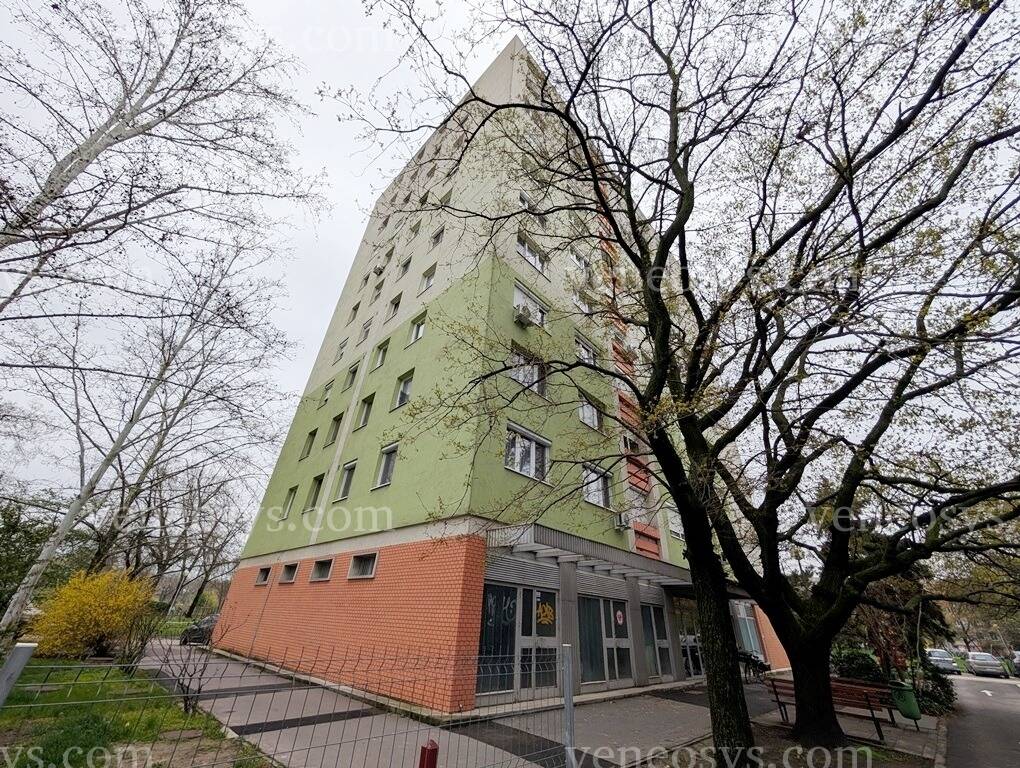 Kép 24