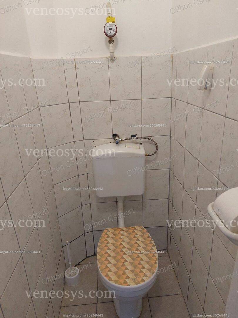 Kép 6