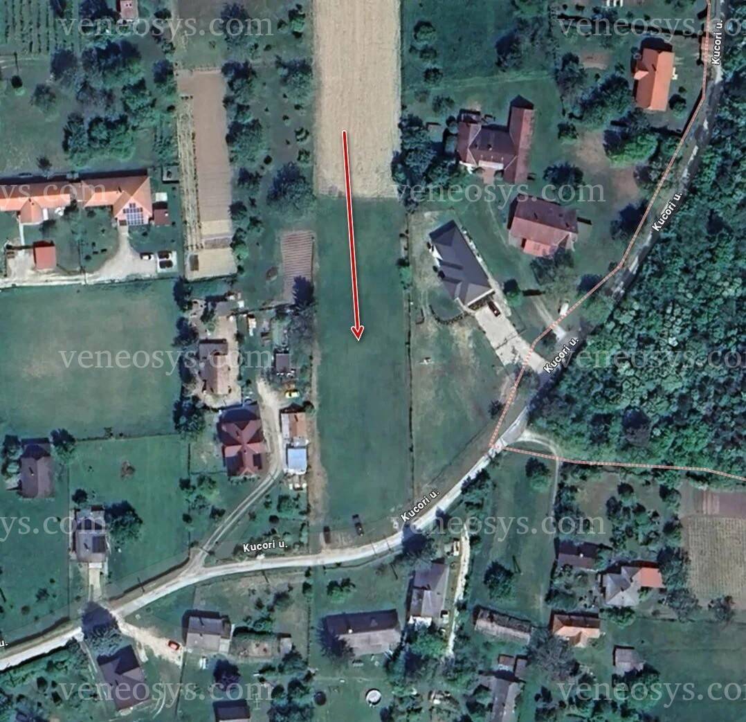 Kép 5