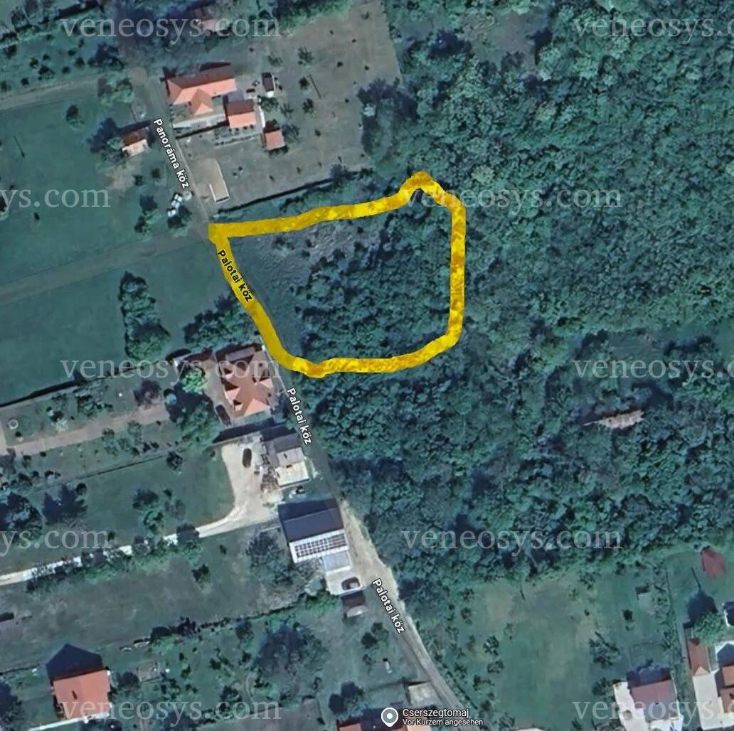 Kép 4