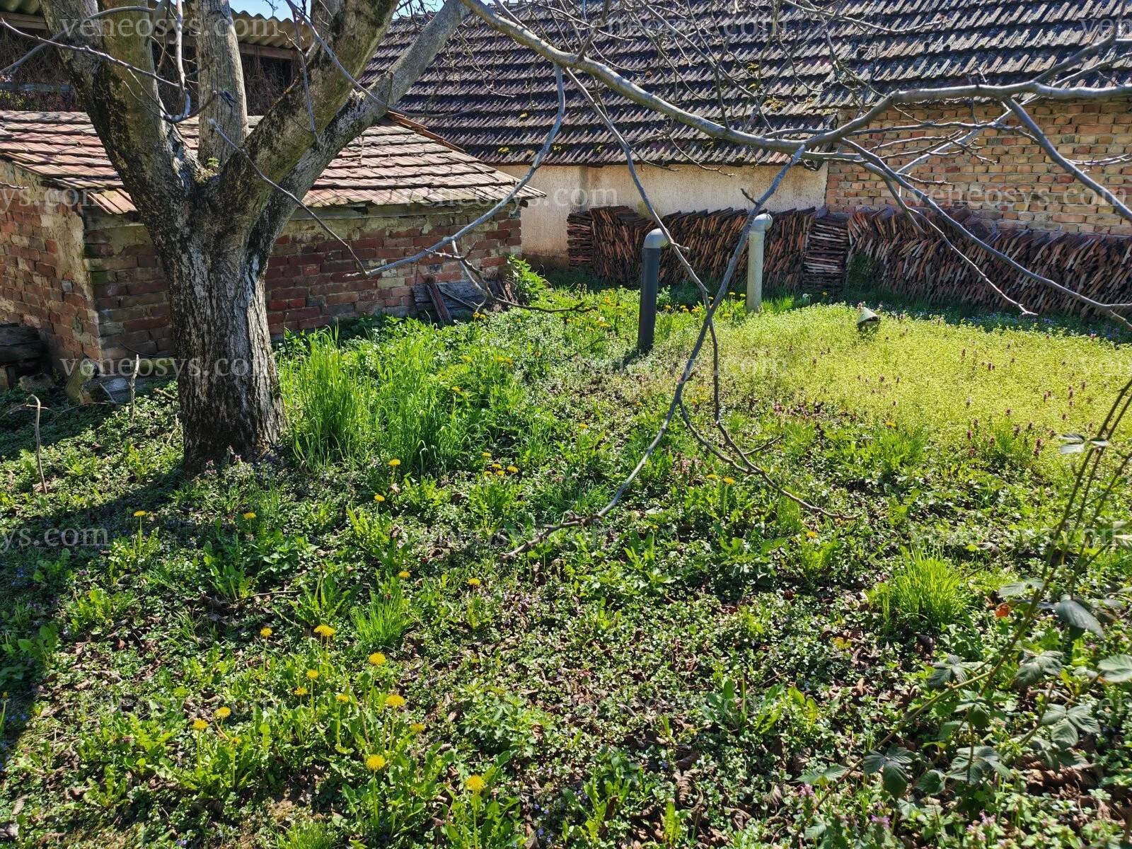Kép 21