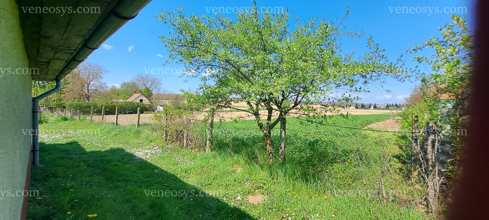 Kép 15
