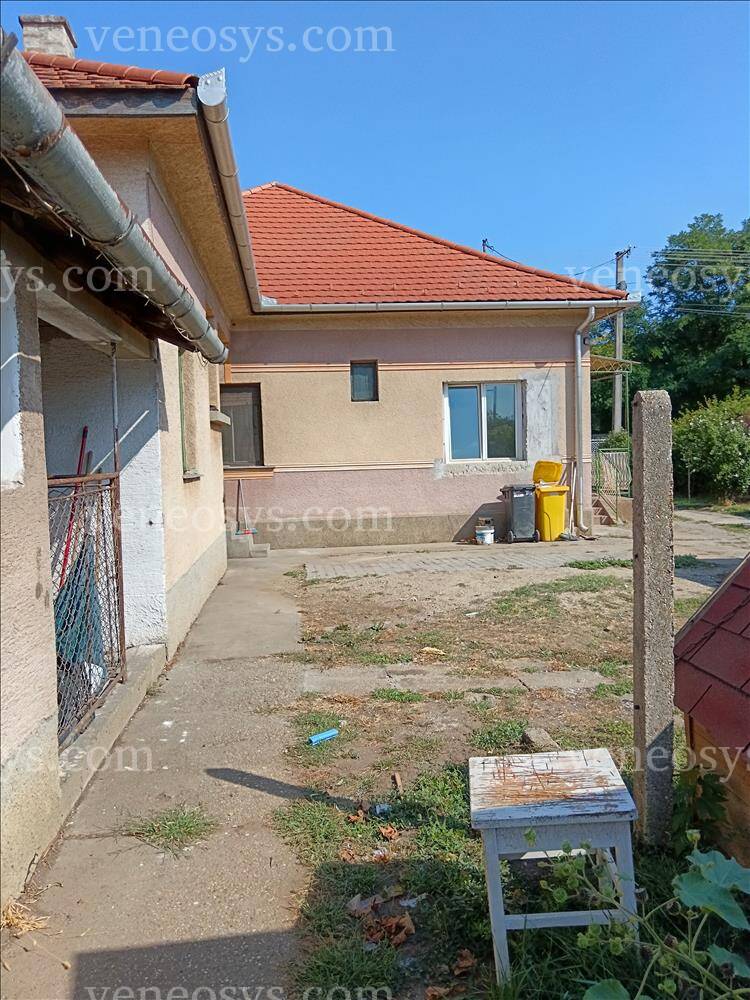 Kép 3