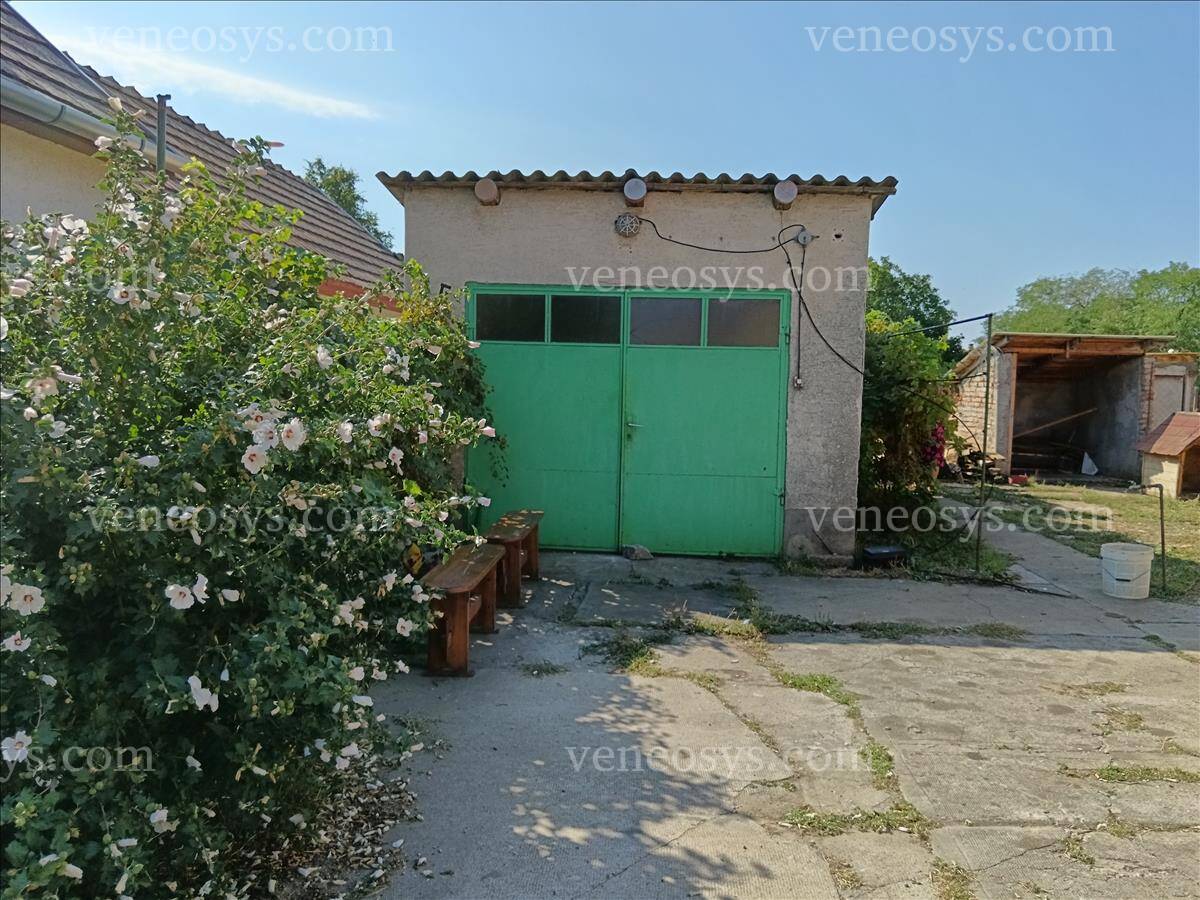 Kép 7