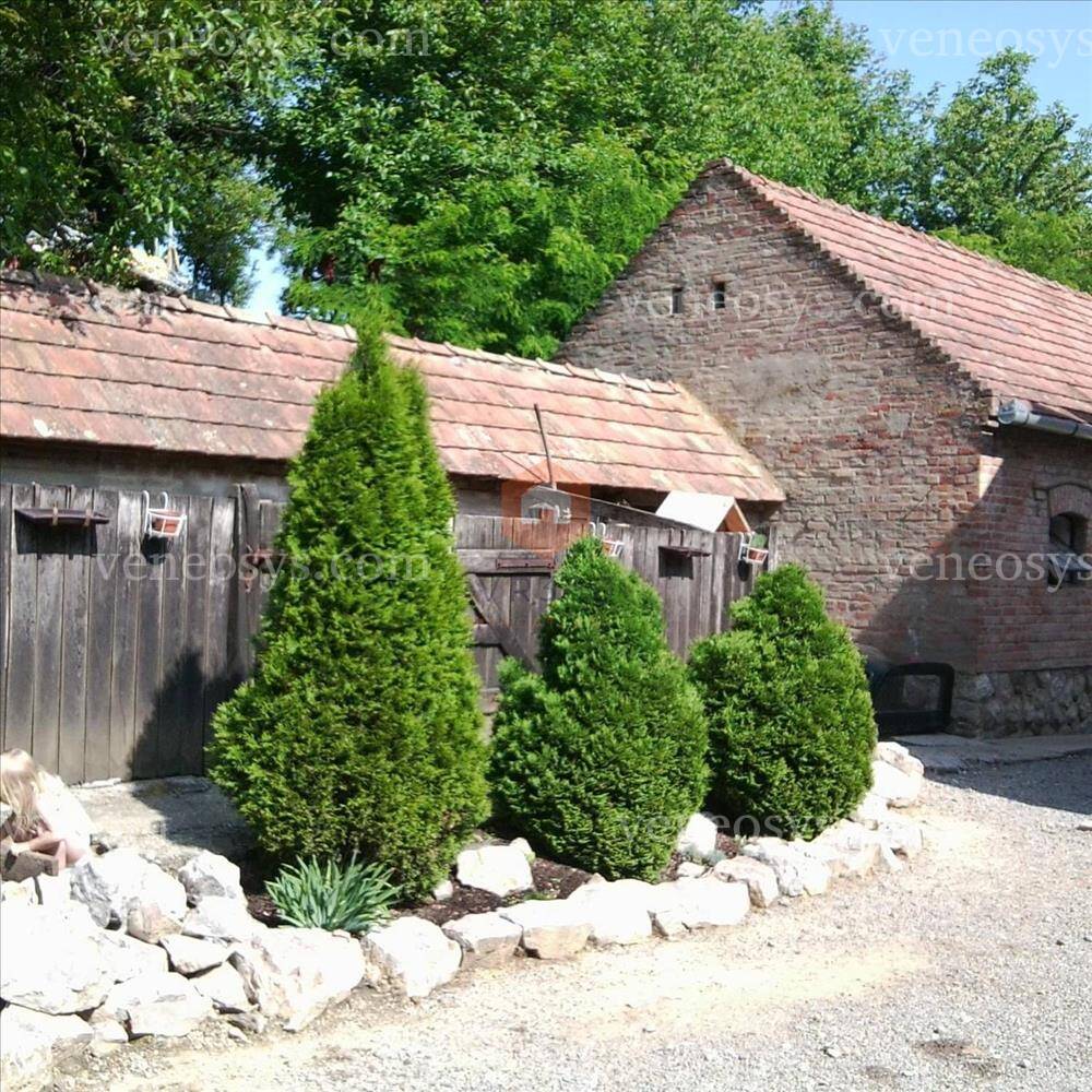 Kép 4