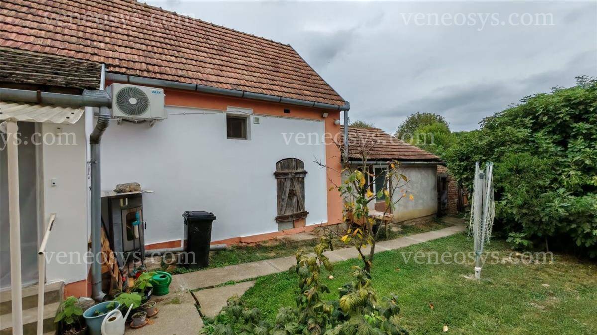 Kép 3