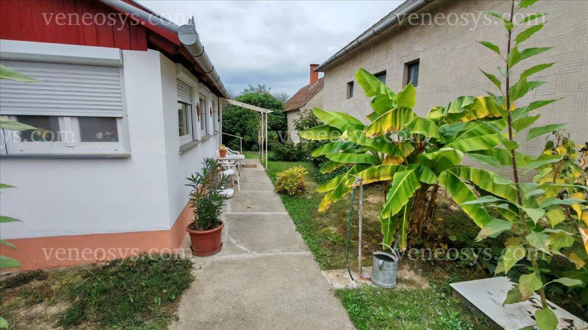 Kép 4