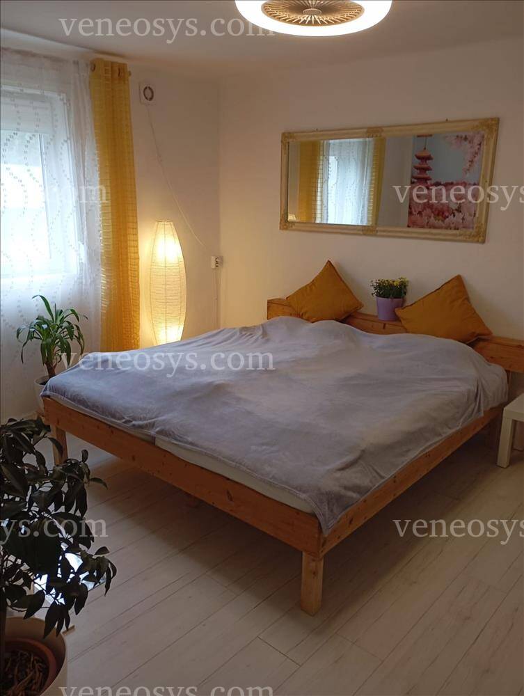 Kép 10
