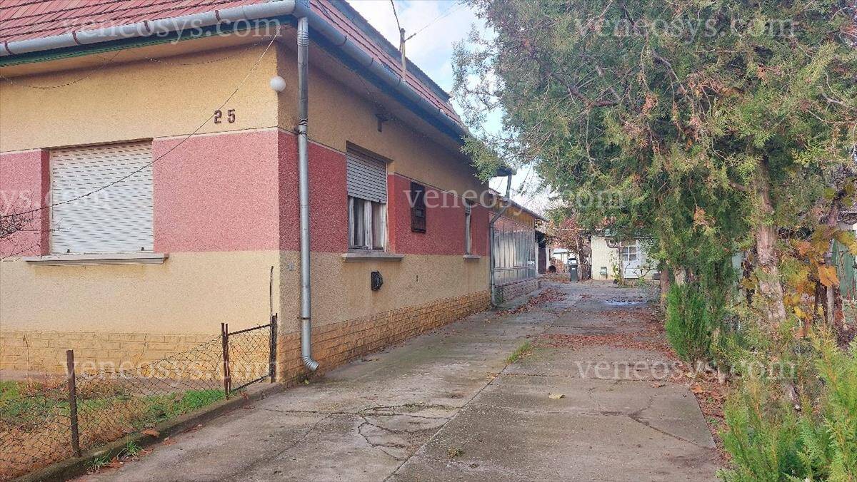 Kép 8