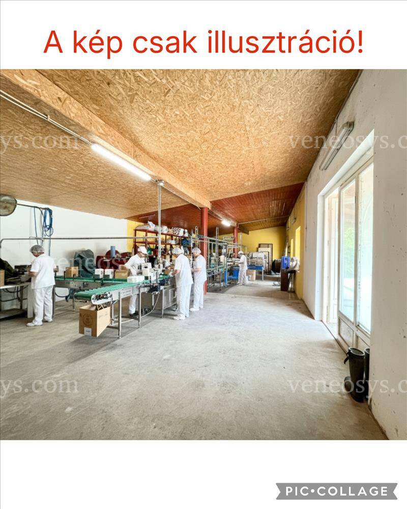 Kép 20