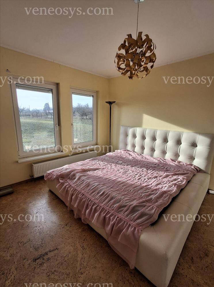 Kép 7