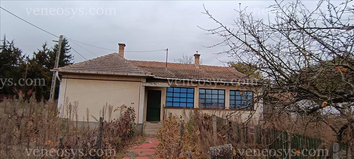 Kép 10