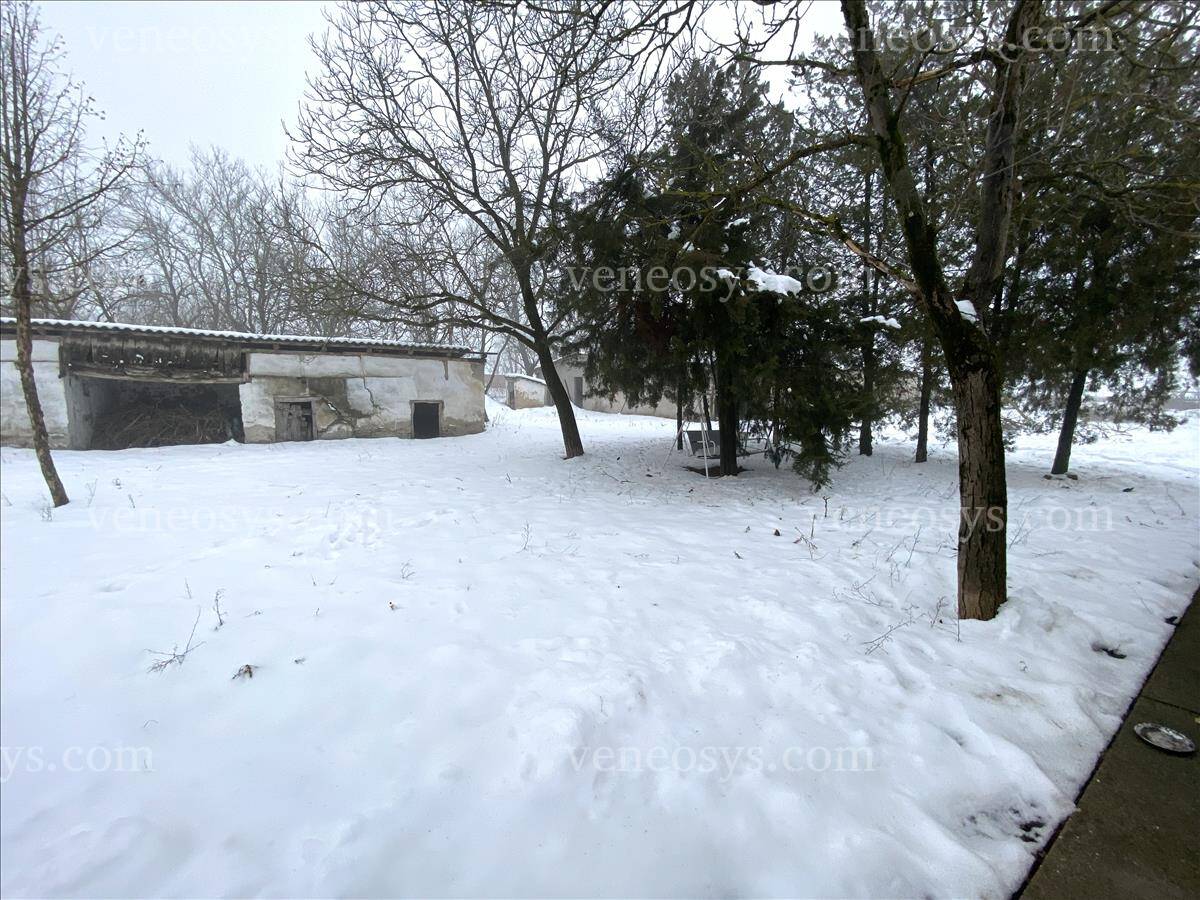 Kép 15