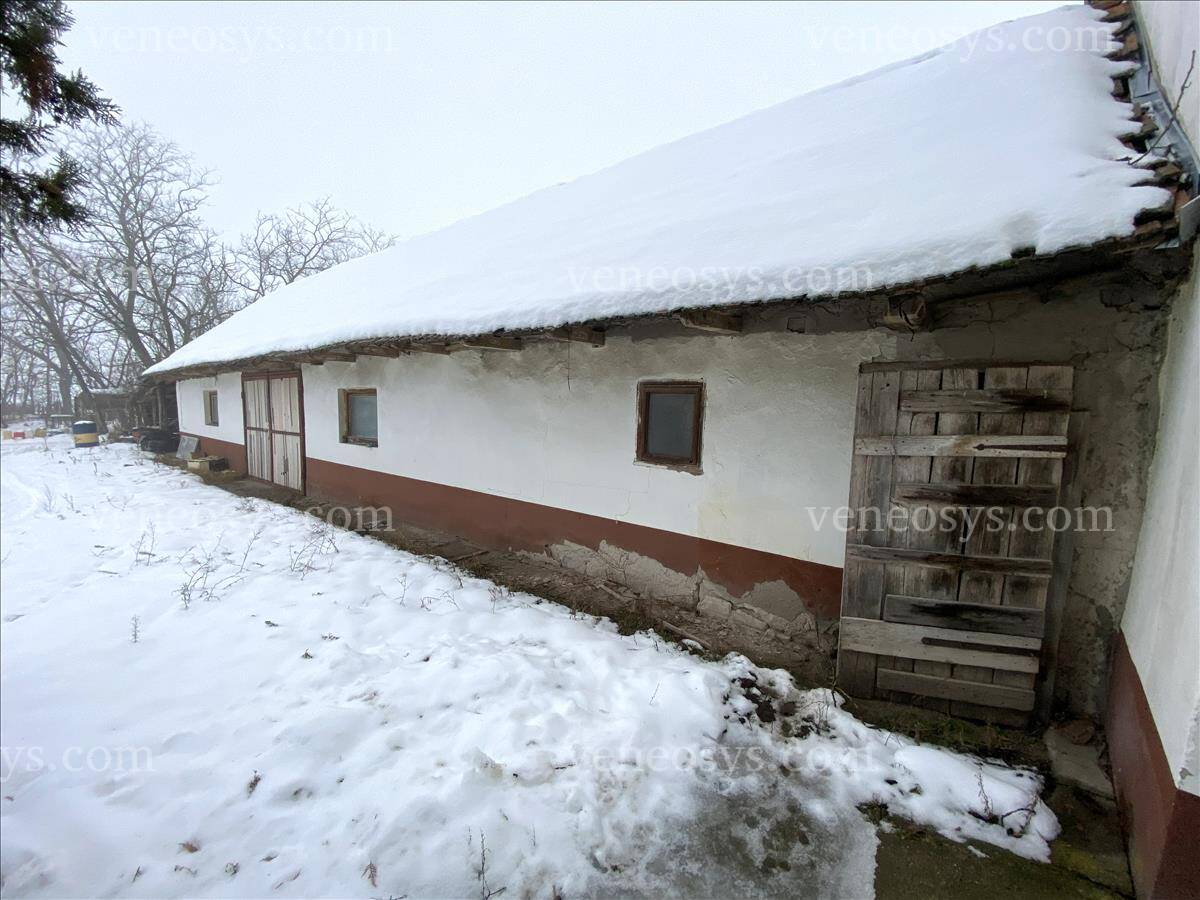 Kép 11
