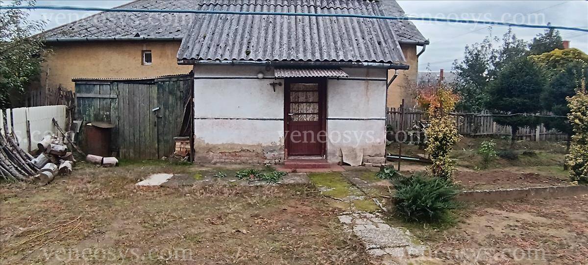 Kép 10