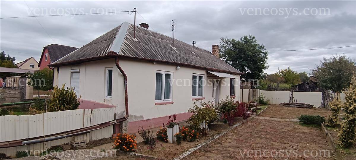 Kép 8