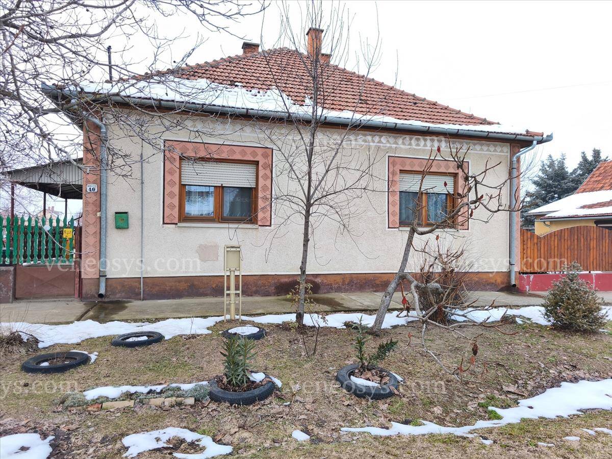 Szank
