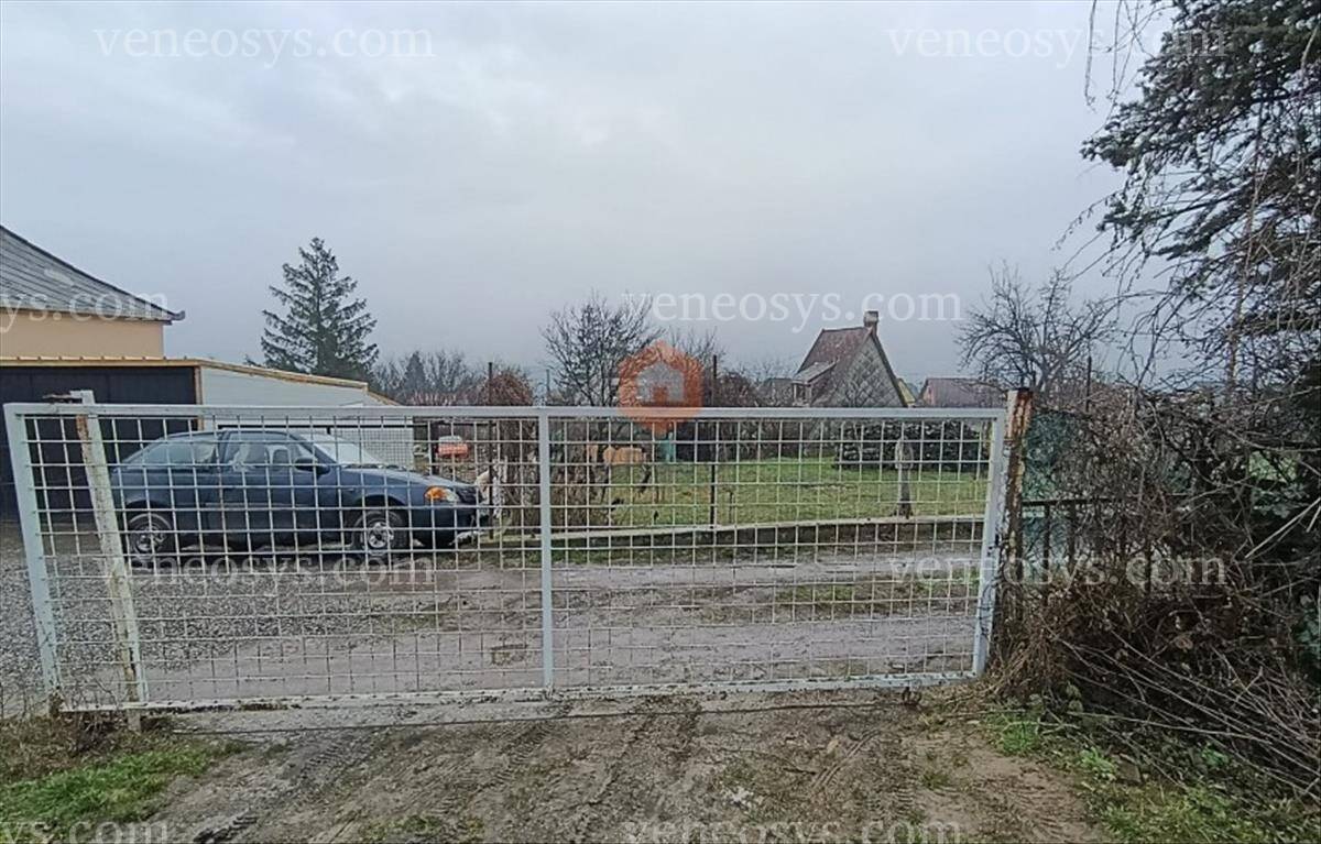 Kép 15