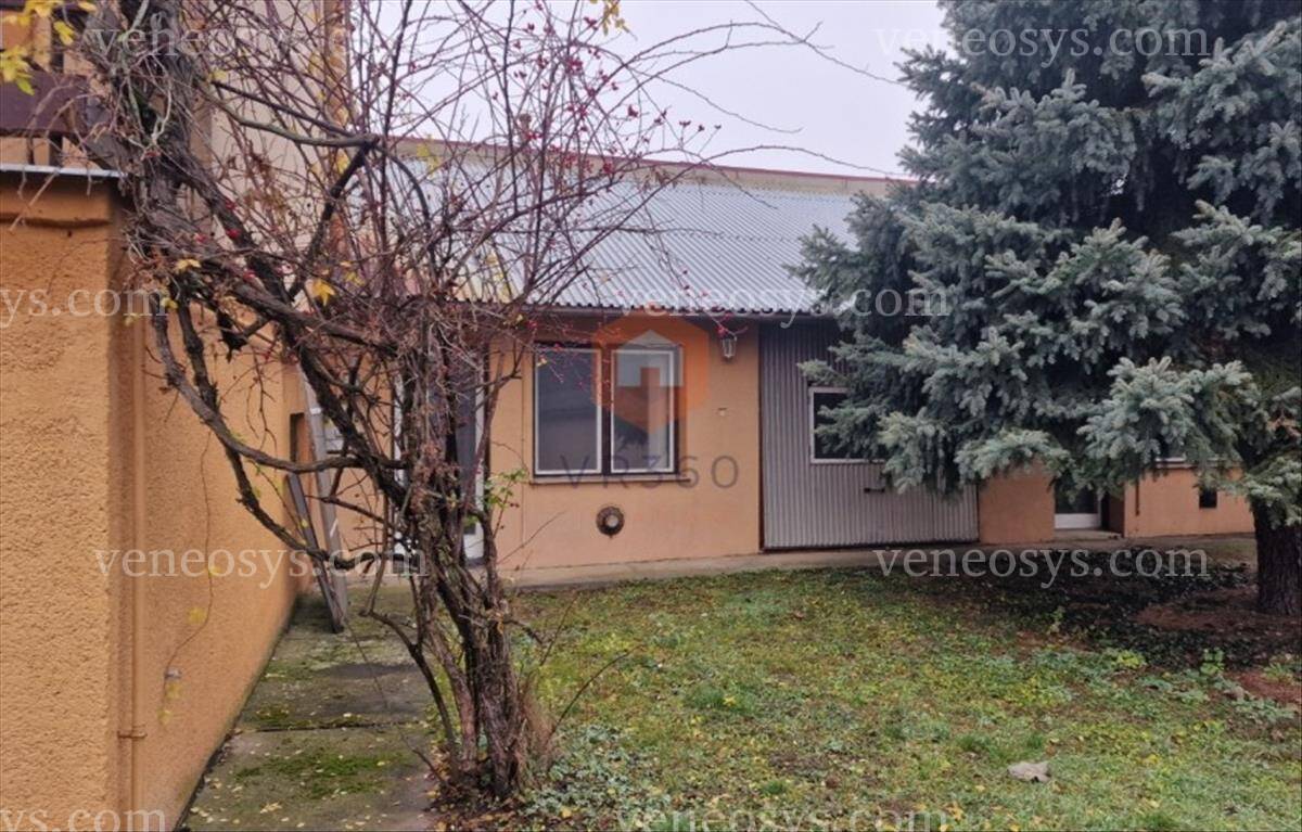 Kép 4