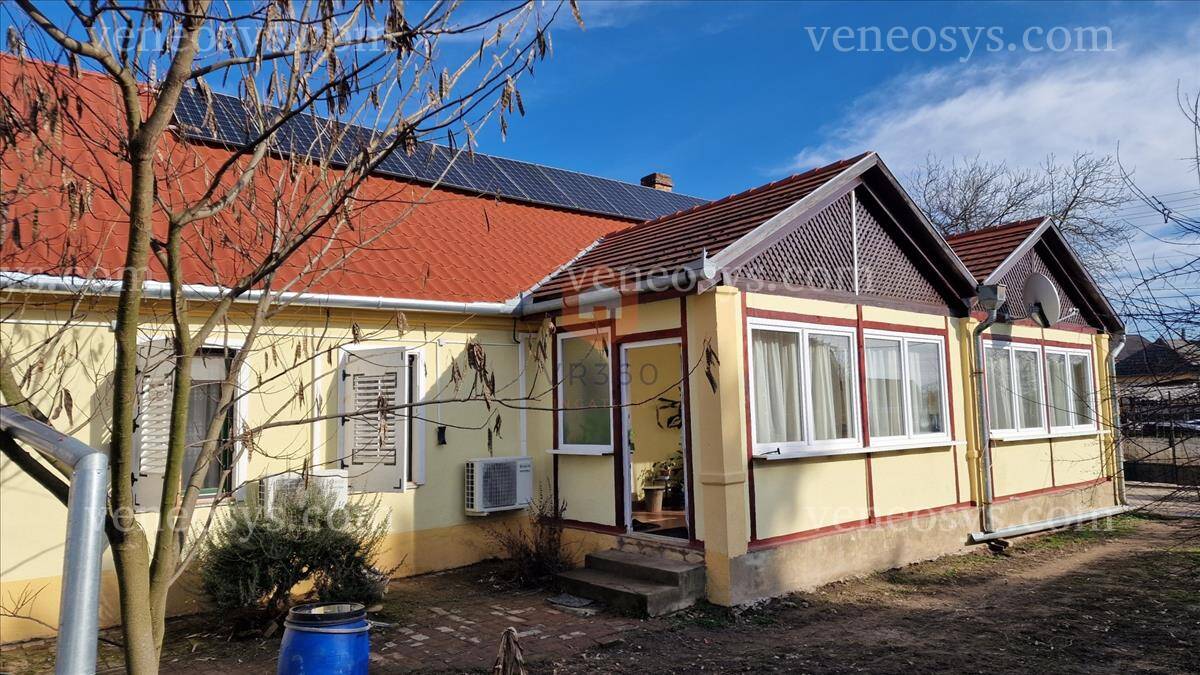 Kép 4
