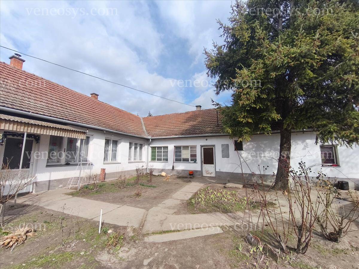 Kiskunhalas