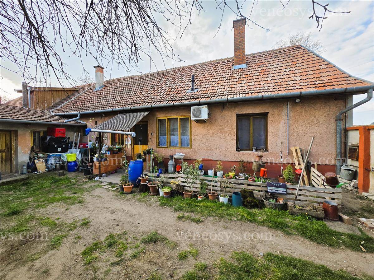 Kép 12