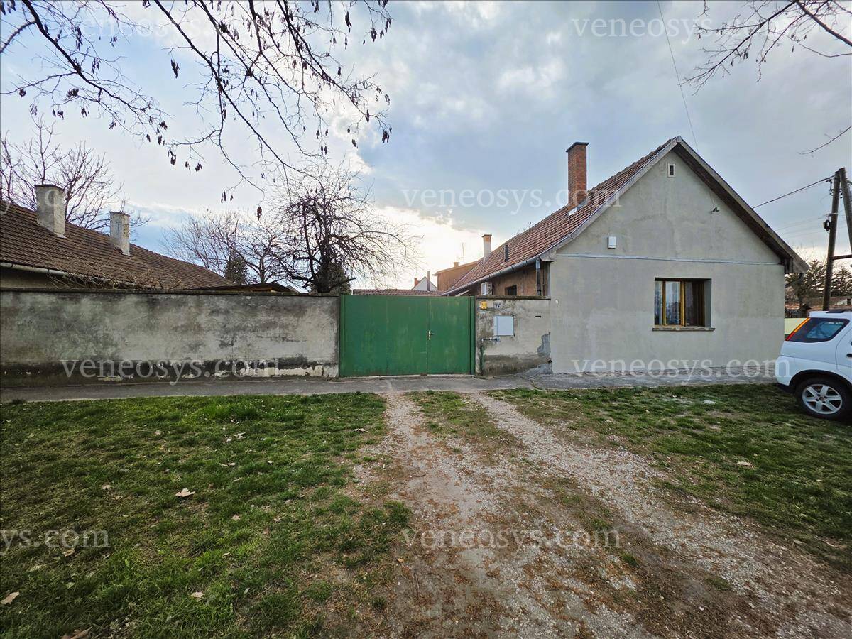 Kép 15